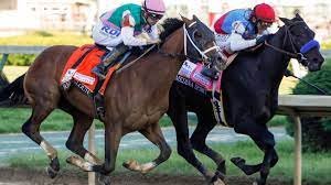 Horse Racing Systems - Are You Following This Year's Favorites